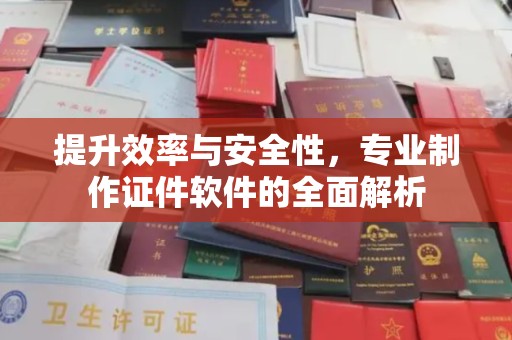 南涧提升效率与安全性，专业制作证件软件的全面解析